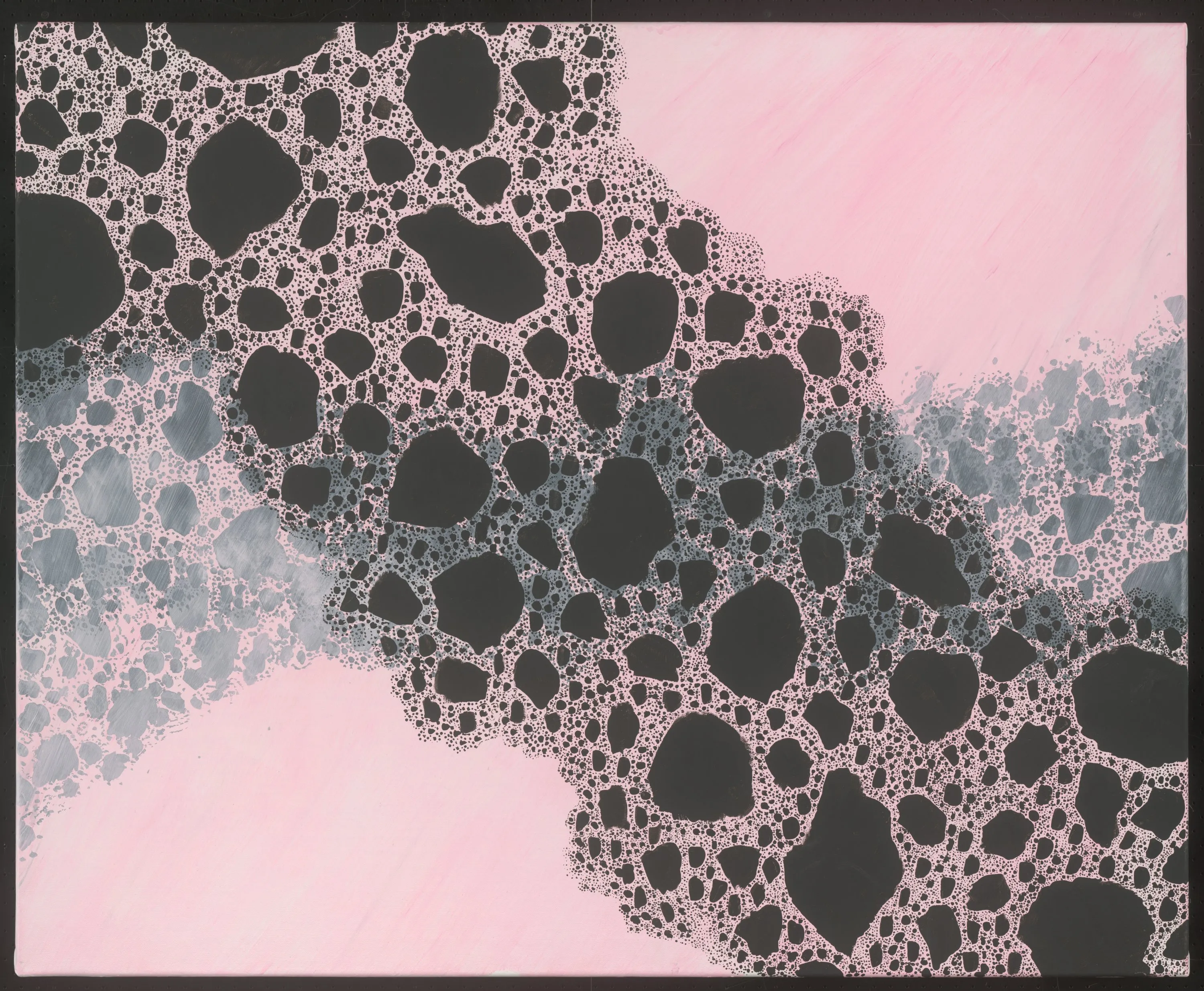Pink Matter